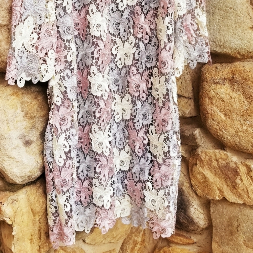 Pink Lillac Cream Hidden Alley Lace Dress - Picture 6 of 6
